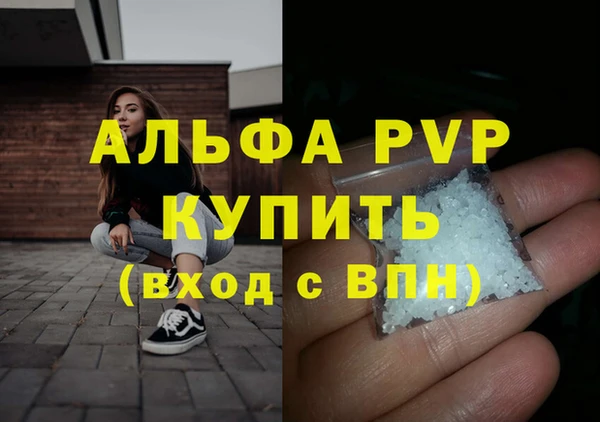 шишки Новозыбков