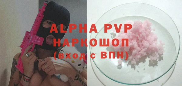 шишки Новозыбков