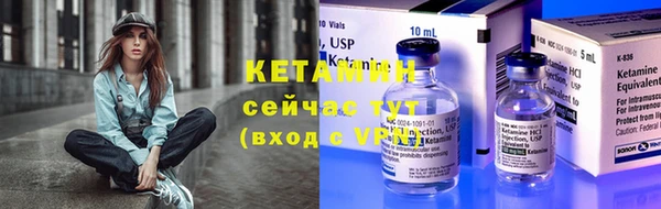 шишки Новозыбков