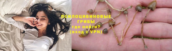 ПСИЛОЦИБИНОВЫЕ ГРИБЫ Новокубанск
