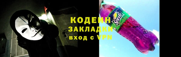 шишки Новозыбков