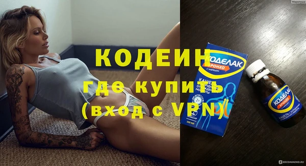 шишки Новозыбков