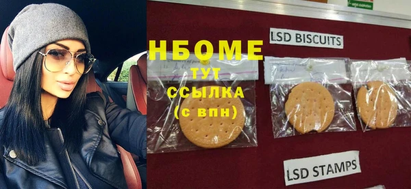 шишки Новозыбков