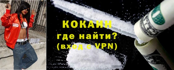 шишки Новозыбков